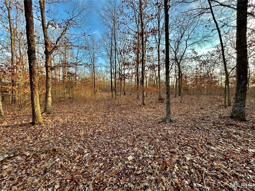 TBD Tract 1 Highway CC Salem Missouri home for sale listed at $195,000